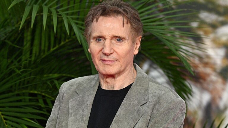 Liam_Neeson_The_Fix.jpg