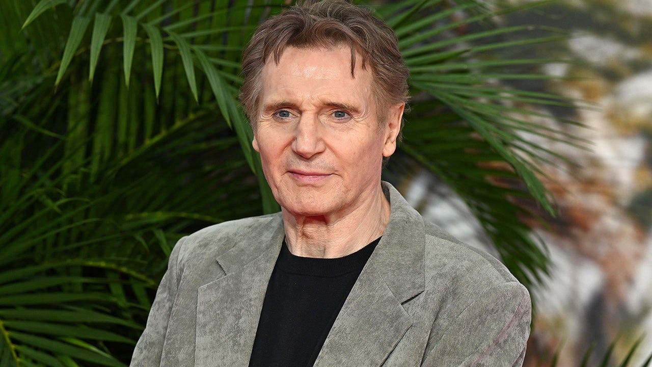 Liam_Neeson_The_Fix.jpg