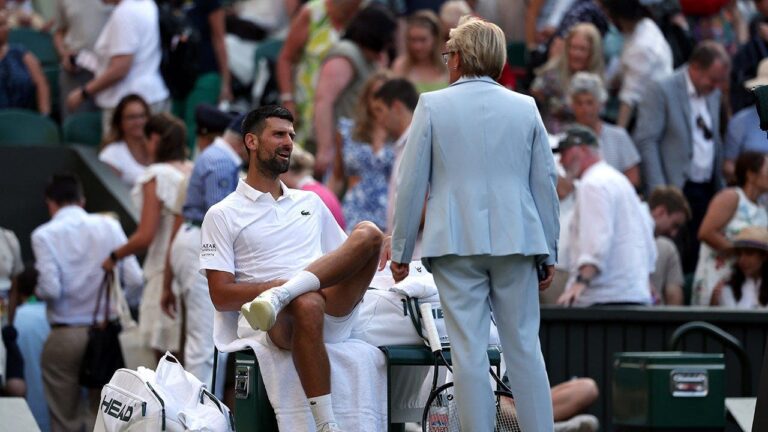 Novak_Djokovic_argues_Wimbledon_official.jpg