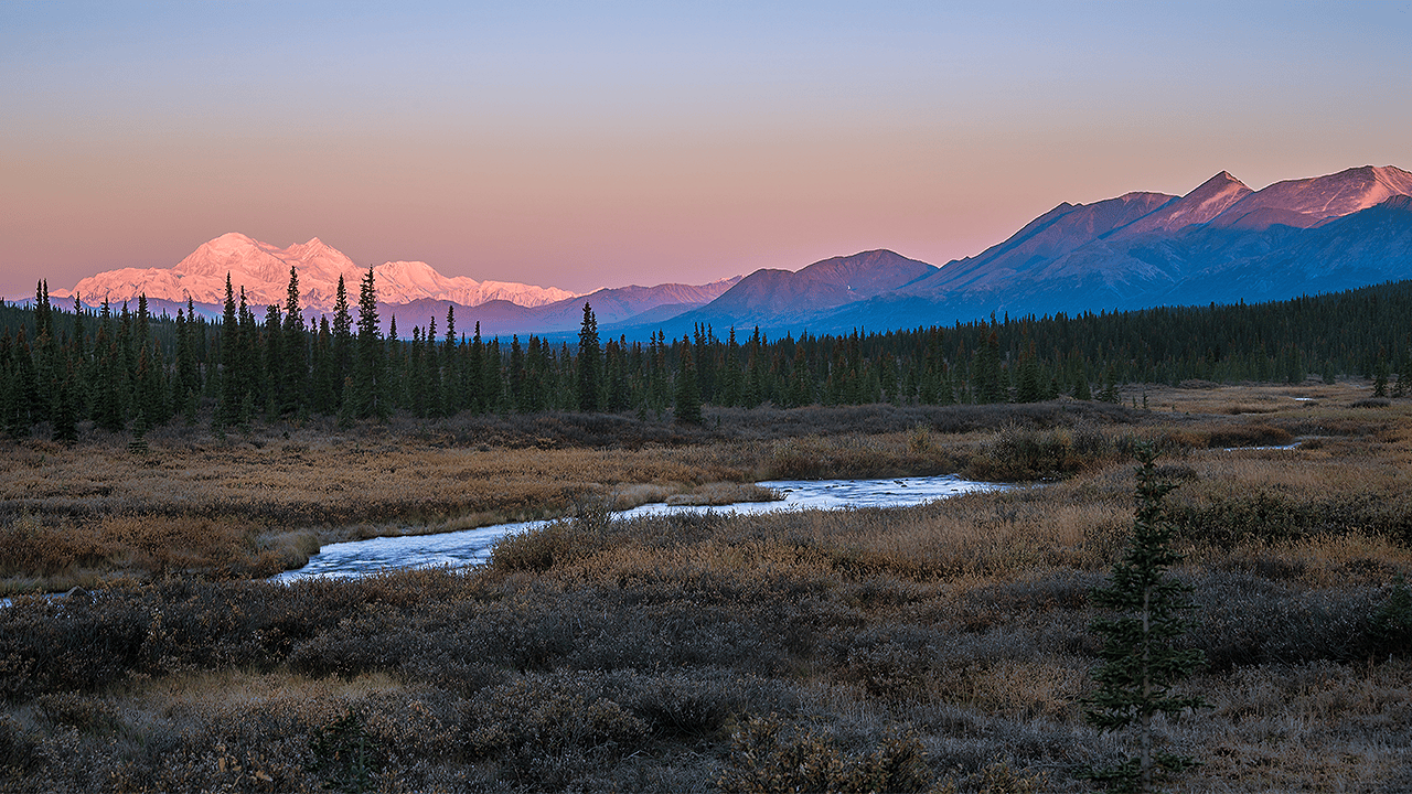 alaska-wilderness-fairbanks-cold-case-homicide-investigation.jpg