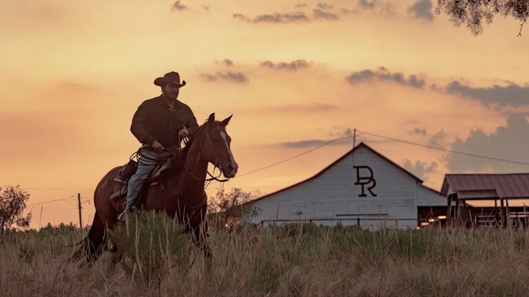 cole-hauser-dutton-ranch-fox-news-001.jpeg