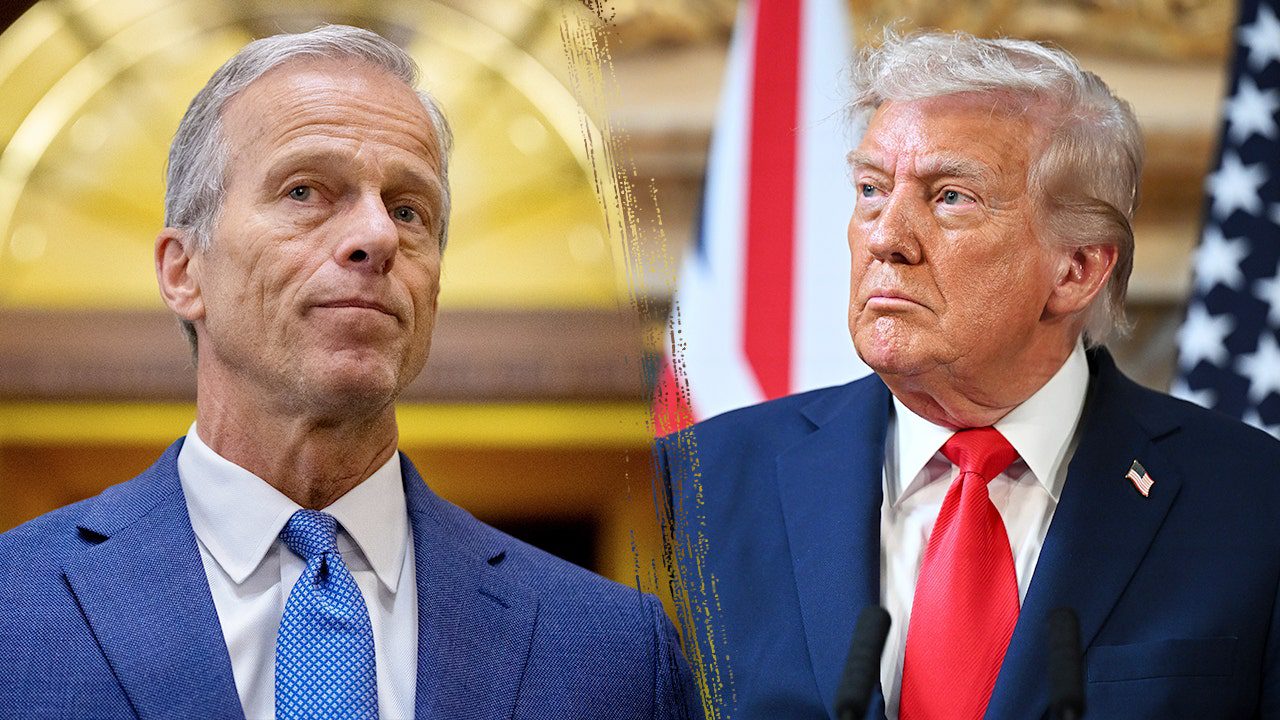 john-thune-donald-trump-senate.jpg