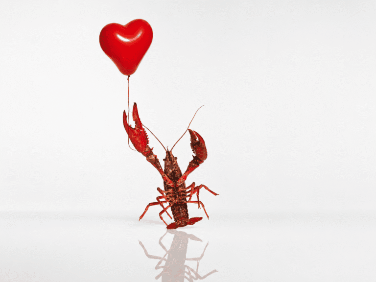 openclaw-dating.png