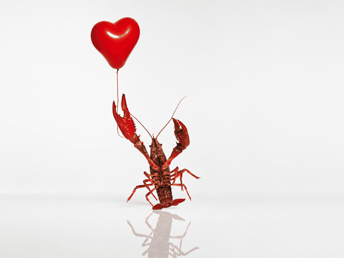 openclaw-dating.png
