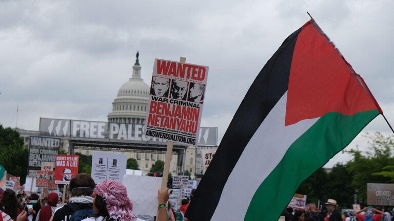palestine-protest-capitol.jpg