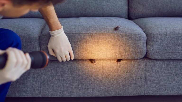 pest-control-essentials-composite.jpg