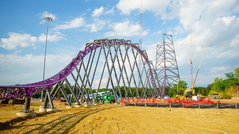 purple-project-six-flags.jpeg