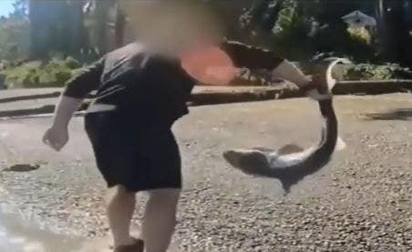 suspect-holding-shark-1.jpg