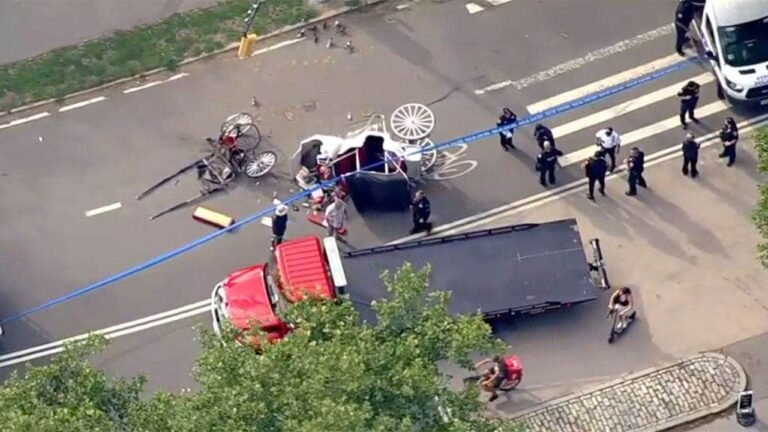 Carriage-accident-Central-Park-Fox-News-001.jpeg