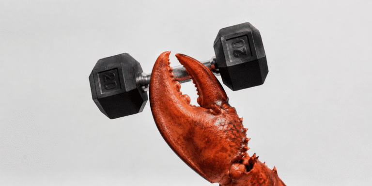 Claw-weight.png