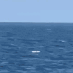 Romania.gif