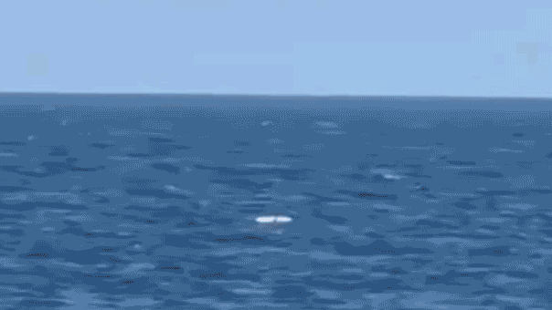 Romania.gif