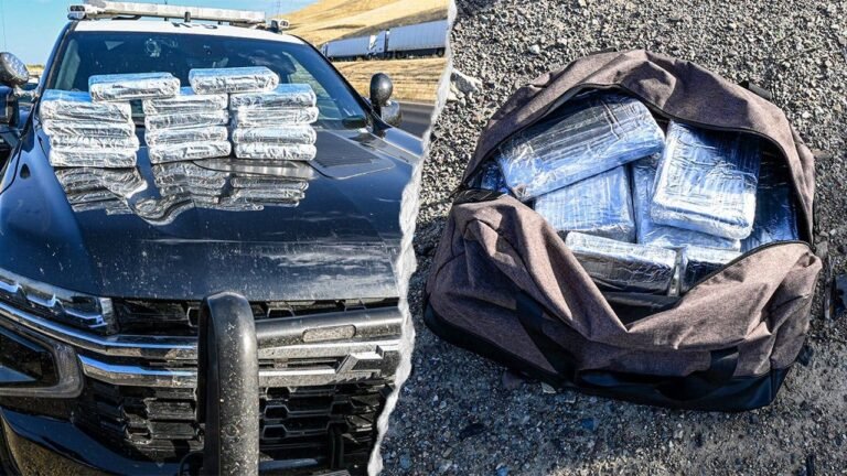 chp-817k-cocaine-traffic-stop-california.jpg