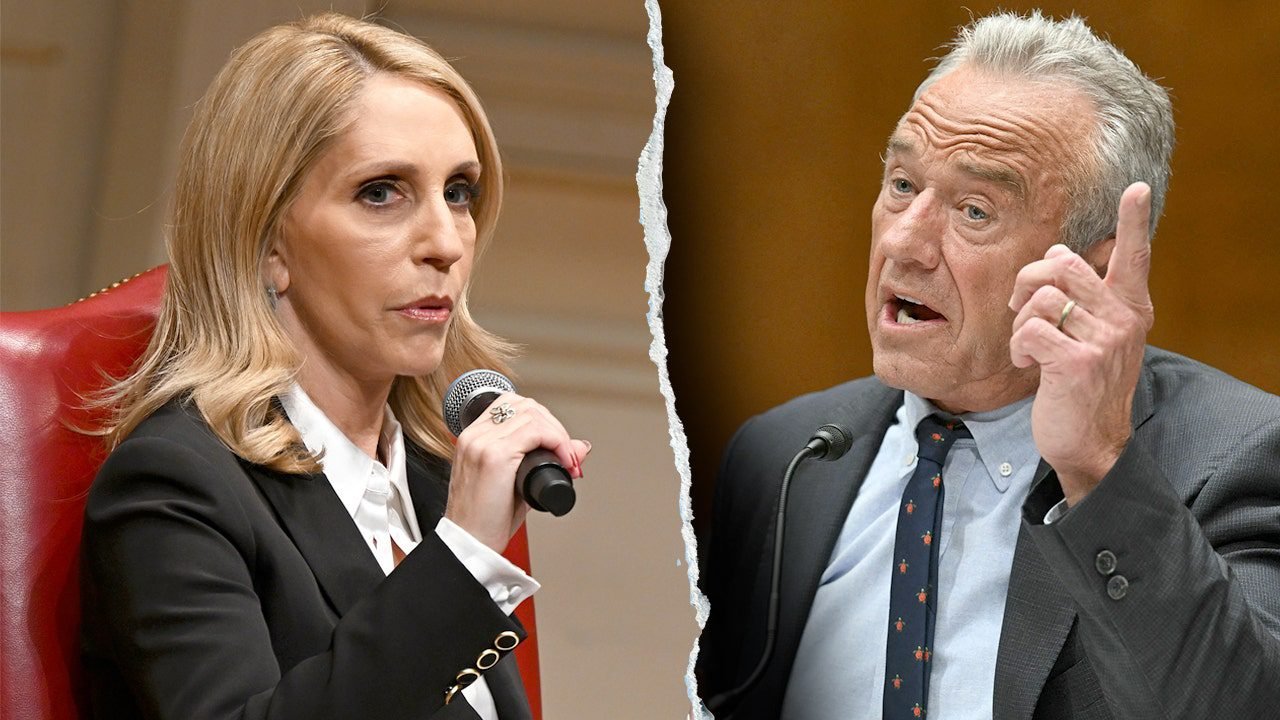 dana-bash-robert-f-kennedy-jr.jpg