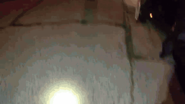 eutis-police-officer-dragged-traffic-stop.gif