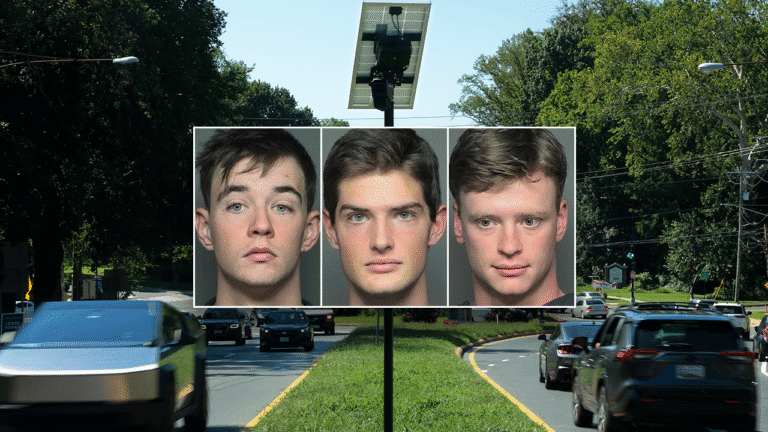 flock-camera-criminals.png