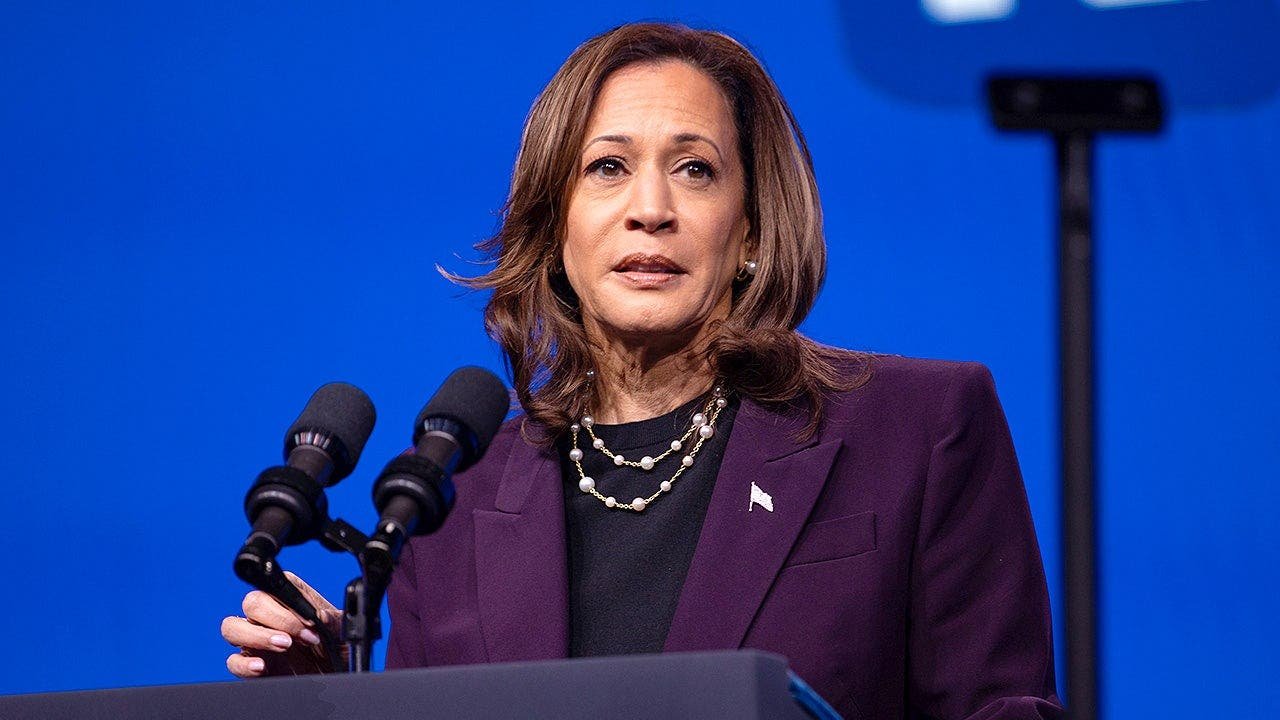 kamala-harris-2024-election-autopsy-fox-news.jpeg