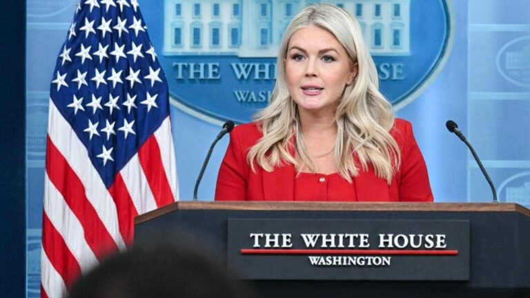 kaorline-leavitt-briefing-july-23-fox-news.jpg