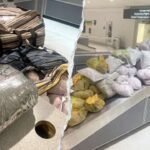 khat-tea-leaves-cbp-bwi-airport.jpg