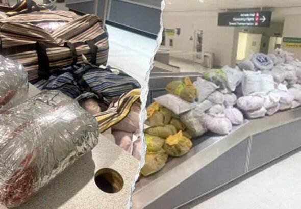 khat-tea-leaves-cbp-bwi-airport.jpg