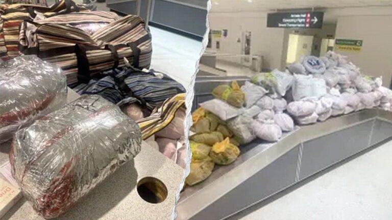 khat-tea-leaves-cbp-bwi-airport.jpg