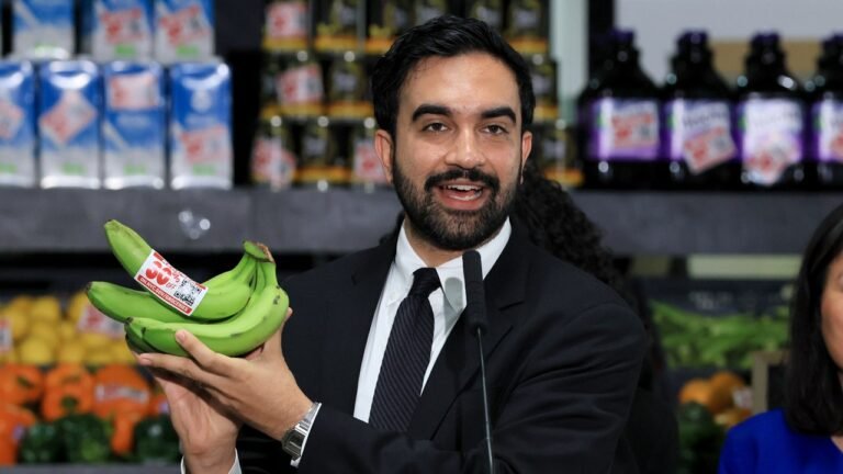 mamdani-socialist-grocery-food-fox-news.jpg