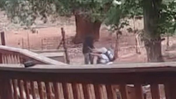 nyc-hiker-stabbed-az.gif