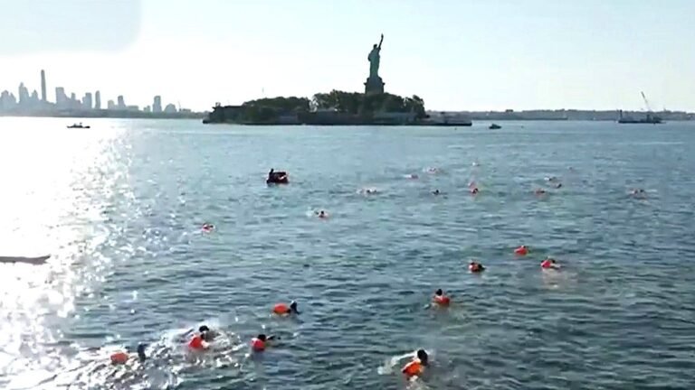 nyc-seal-swin-ny-harbor.jpg