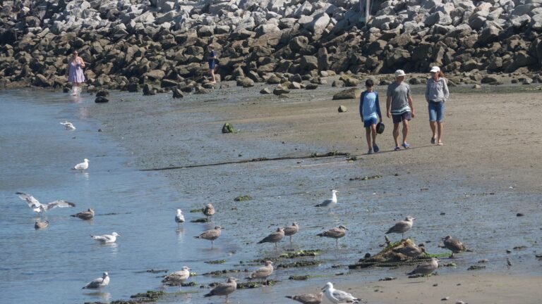 people-walk-along-a-beach-in-scarborough-maine.jpg