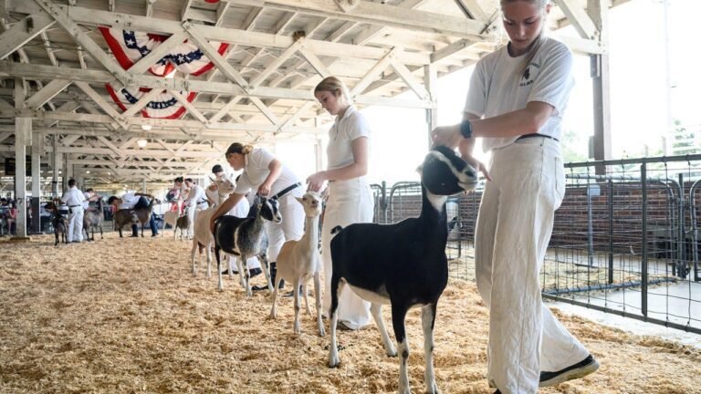 petting-zoo-goats-rabies-children-north-carolina.jpg