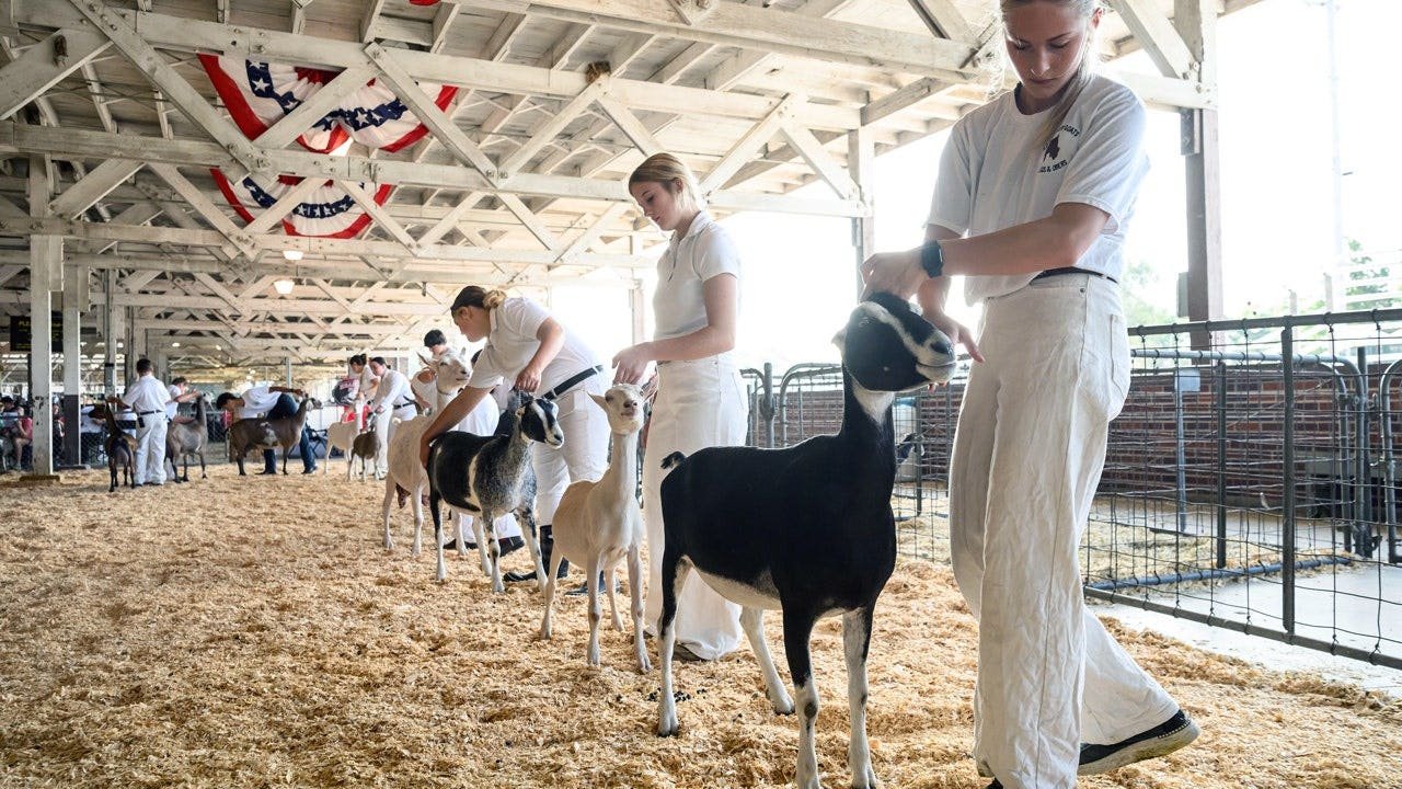 petting-zoo-goats-rabies-children-north-carolina.jpg