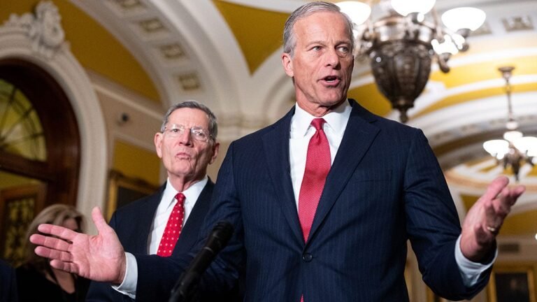 senate-majority-leader-john-thune-dhs.jpg