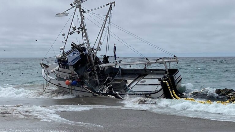 ship-aground-california.jpg