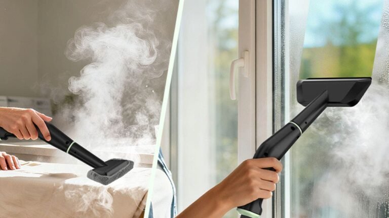 steam-cleaner.jpg