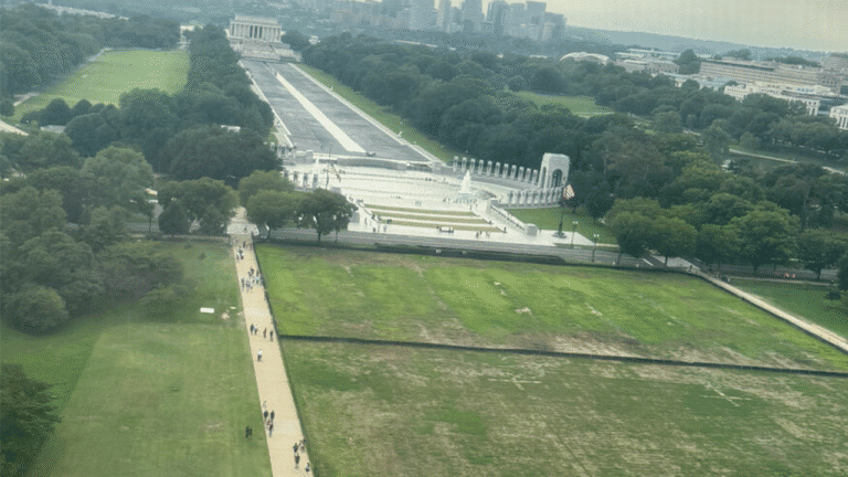 trump-vanadlism-claim-grassy-national-mall-july-4.png