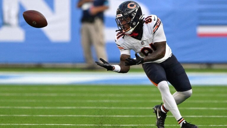 zavion-thomas-bears-titans-catch.jpg