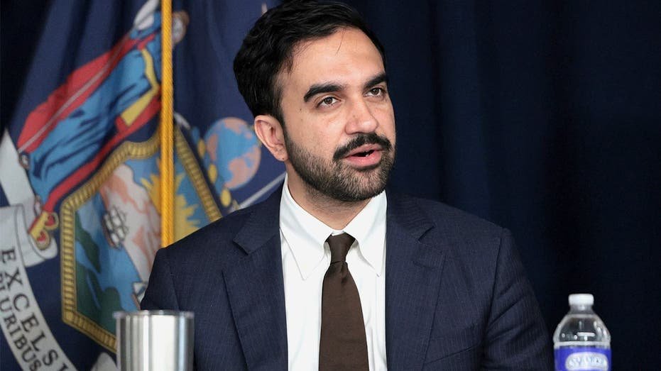 zohran-mamdani-nyc-fox-news.jpg