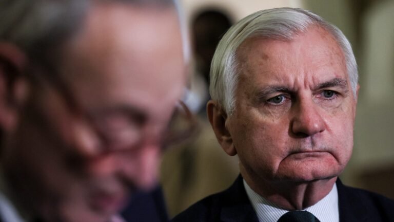 2024-11-13t194524z_1953348671_rc2d4bak9n80_rtrmadp_3_usa-congress-leadership-scaled.jpg