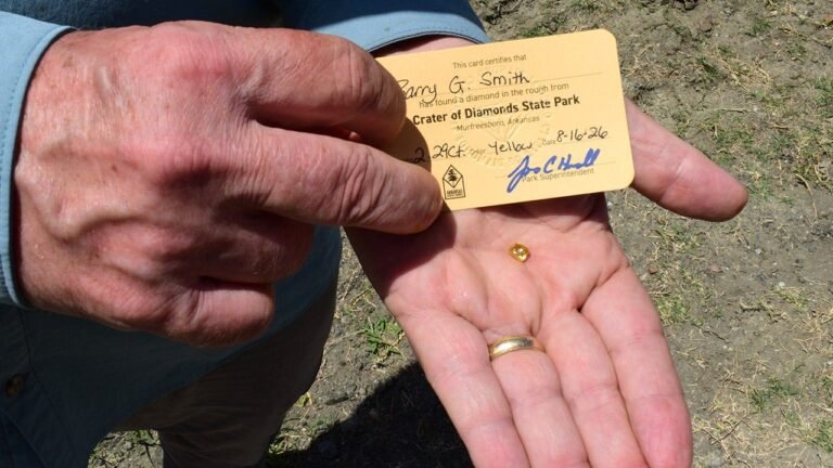 ARKANSAS-GRANDPA-FINDS-DIAMOND-ARCHAEOLOGY-DISCOVERY-3.jpg