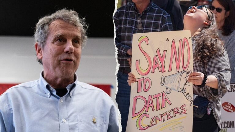 Brown-Data-Center-Protest.jpg