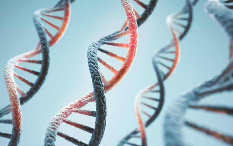 DNA-—-Xero-2.jpg