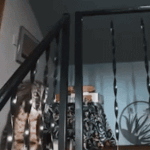 cat-break-in.gif