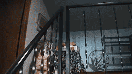 cat-break-in.gif