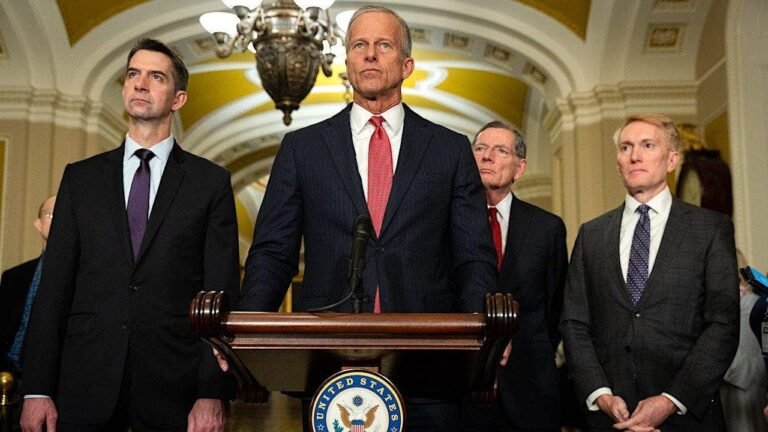 db122f7c-senate-majority-leader-john-thune-fox-news.jpeg