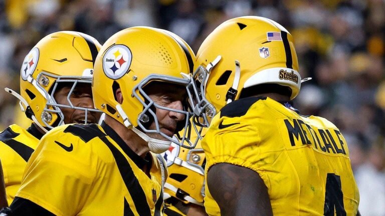 dk-metcalf-touchdown-catch-steelers-packers.jpg