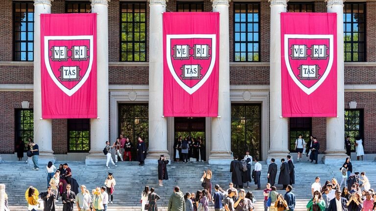 harvard-university-poll-political-violence-fox-news-2.jpg
