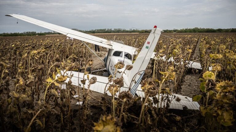 plane-sunflower-field-hungary.jpg