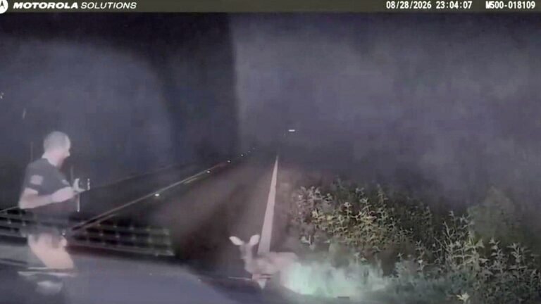 texas-deputy-deer-springs-up.jpg