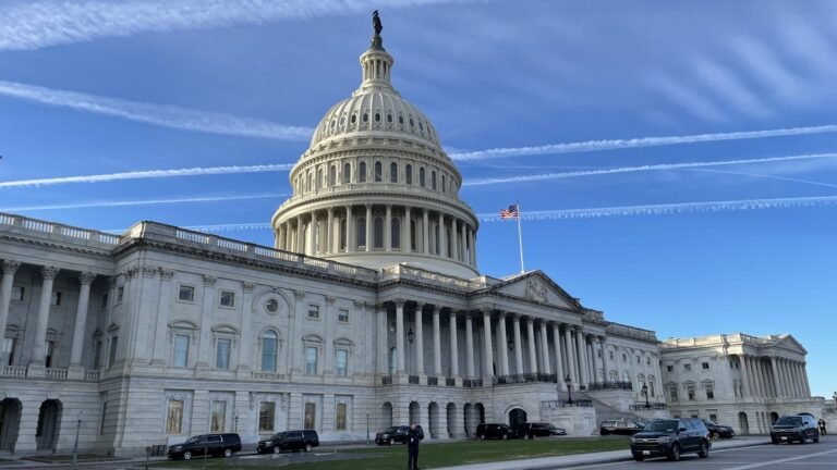 u.s.-capitol-dec.-12-2024-scaled.jpg