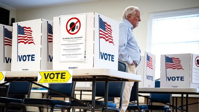 virginia-voting-booths-primary-election.jpg